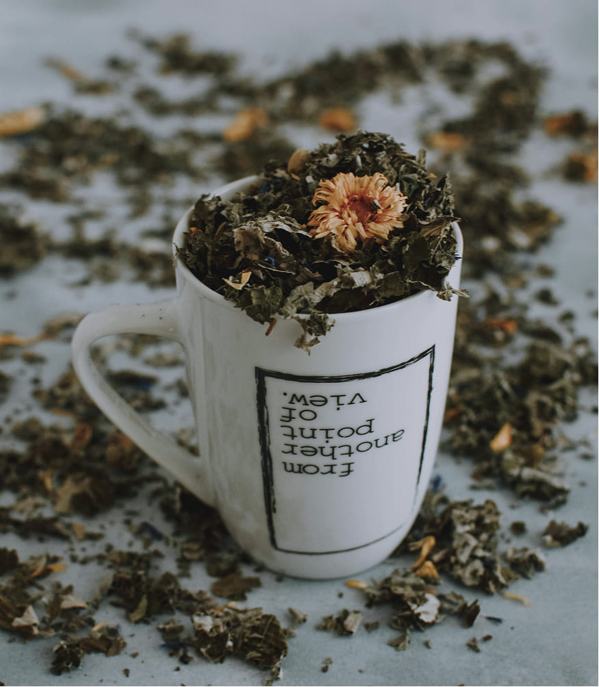 A mug filled with dried leaves and a single dried flower sits on a gray surface, surrounded by scattered leaves. The mug's text is upside down.