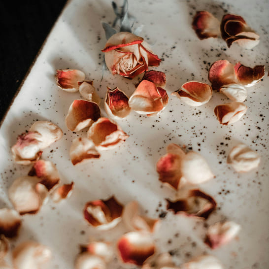 Scattered pink and cream dried rose petals and a solitary rose bud on a speckled white surface, creating a delicate, nostalgic atmosphere.
