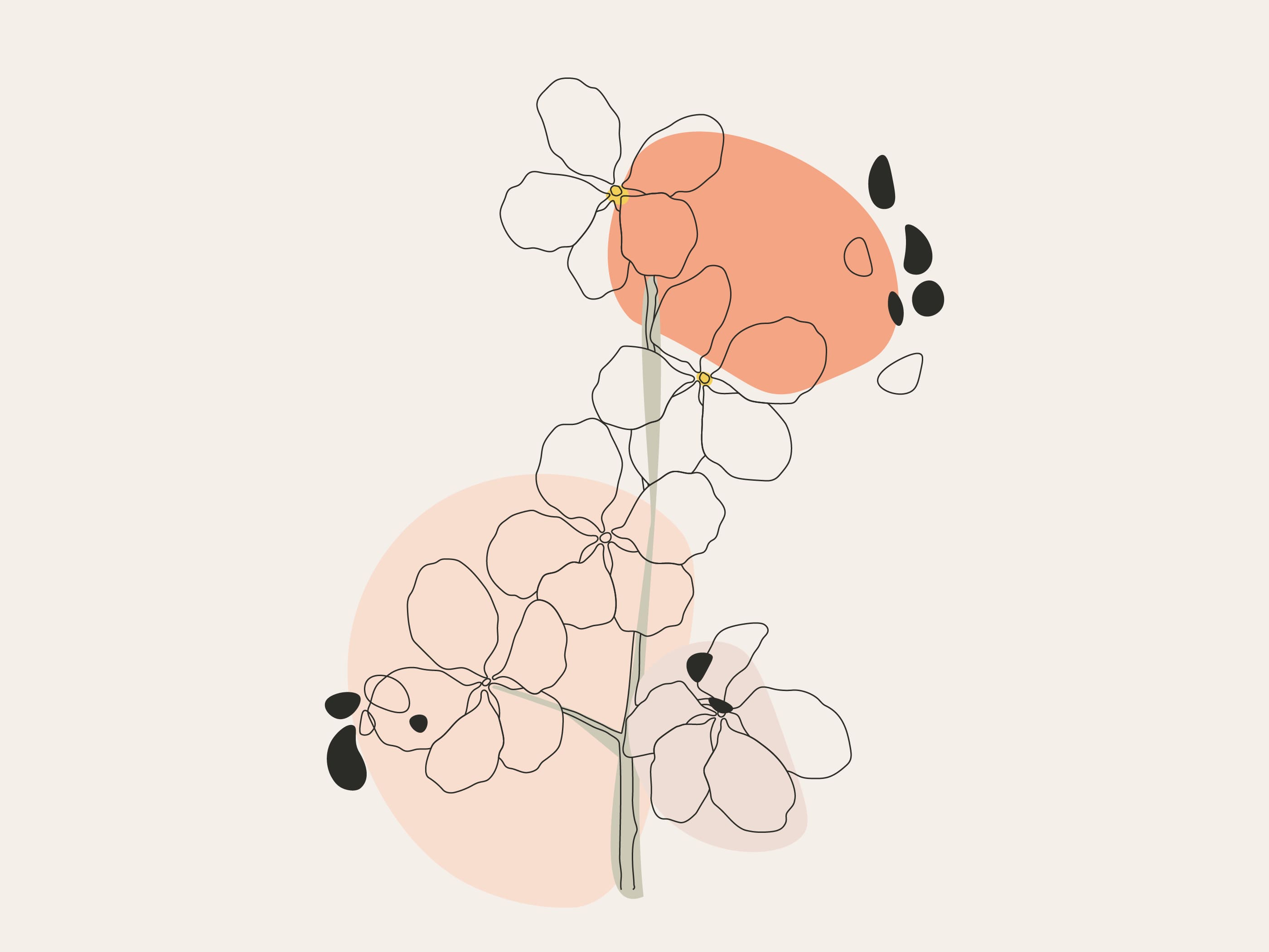 Graphic design section cover image. Minimalistic floral illustration with delicate white flowers outlined in black. Two peach-colored circles and scattered black shapes accent the design.